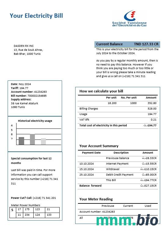 Tunisia electricity proof of address rachunek za usługi komunalne szablon w formatach Word i PDF